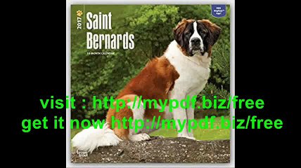 Saint Bernards 2017 Square