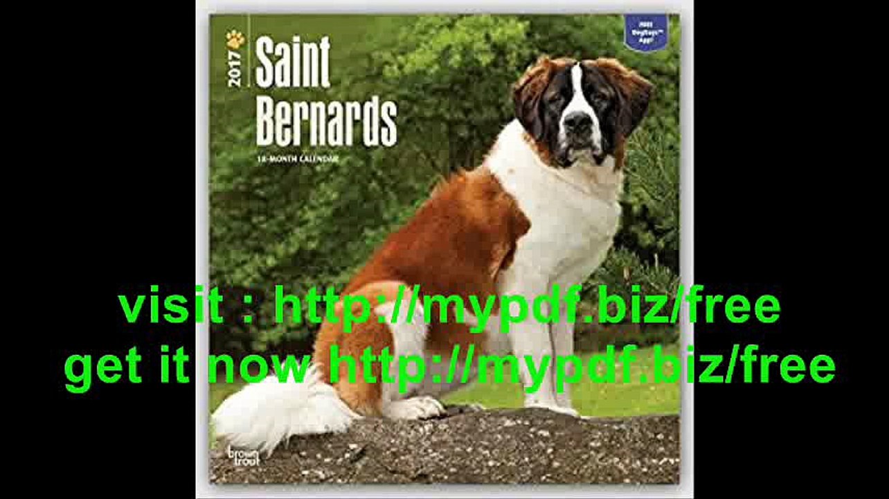 Saint Bernards 2017 Square