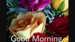 GOOD MORNING WISHES Good Morning Greetings whats aap vedios in English Hindi Odiya watchonline download