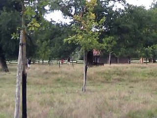 Ecomusée du Marqueze (4)