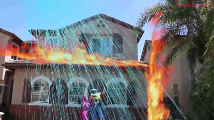 Paw Patrol Chase JUMPS OFF an Airplane! w/ Rocky, Zuma, Spidergirl & Joker in Real Life