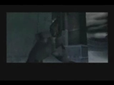 Metal gears solid (amv)