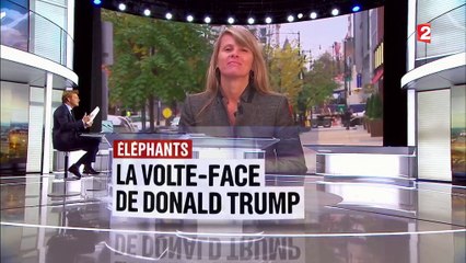 Trophées de chasse : pourquoi Donald Trump a fait marche arrière