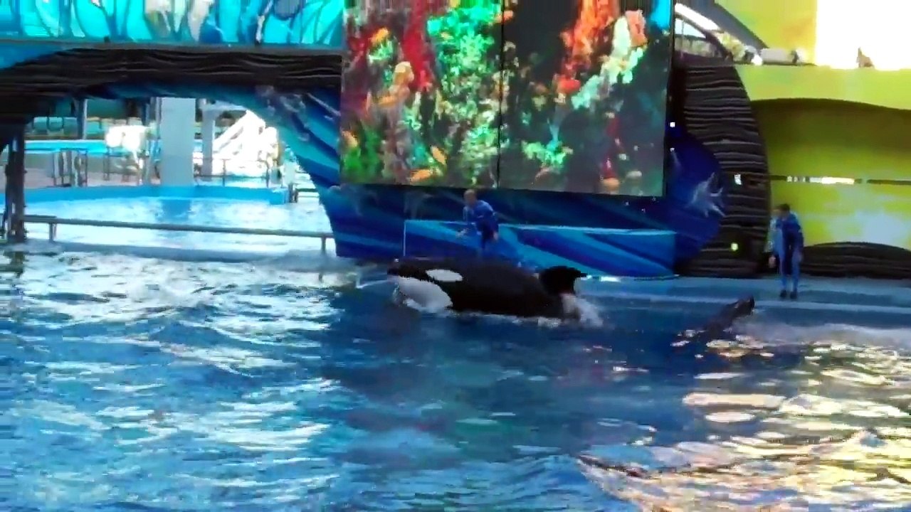 One Ocean (Full Show) SeaWorld Orlando 9/9/13