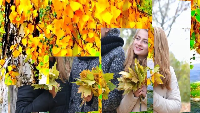 Осінь 11б 2016. Андрушівська гімназія. Володимир Повальчук