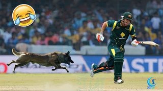 Top10 Funniest Animals Attacks on Players in Cricket History of All Time - Cricket Latest 2017