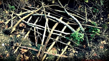 Abandoned FORT VA belonging to Festung Posen- HD