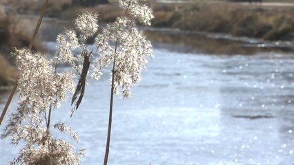 '철원 -11.5℃'...강원도는 '이미 한겨울' / YTN