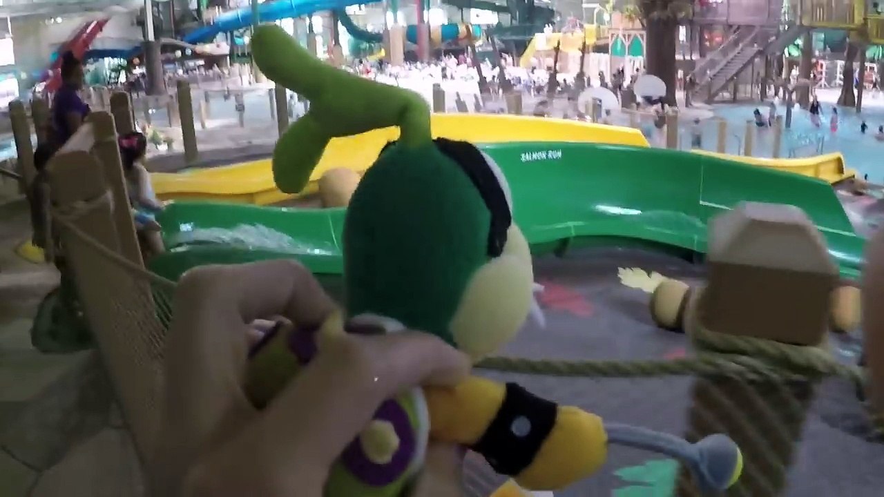 Wario and friends go to great wolf lodge (SMR Movie)