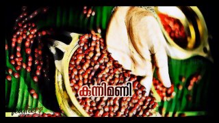 Kunnimani Cheppu Thurannu - Lyric Video Song - 30 sec WhatsApp Status - Feathers
