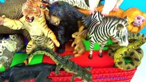 Vahşi Hayvan Adlarını Öğrenin - Hayvanat bahçesi hayvanları - Çocuk eğitici oyuncakları - İngilizce