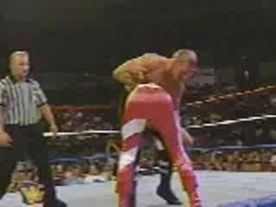 triple h  Pedigree on  hbk