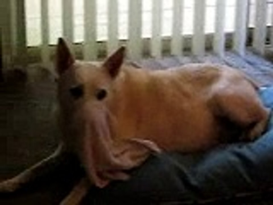 Van and the Wash Cloth