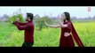 Beliya Full Video Song _ Mehrunisa V Lub U _  Danish Taimoor, Sana Javed, Jawed sheik ( 720 X 1280 )