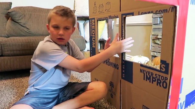 NERF BOX FORT CHALLENGE!!!