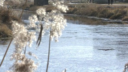 [날씨] 철원 영하 11.5℃...강원도는 이미 한겨울 / YTN