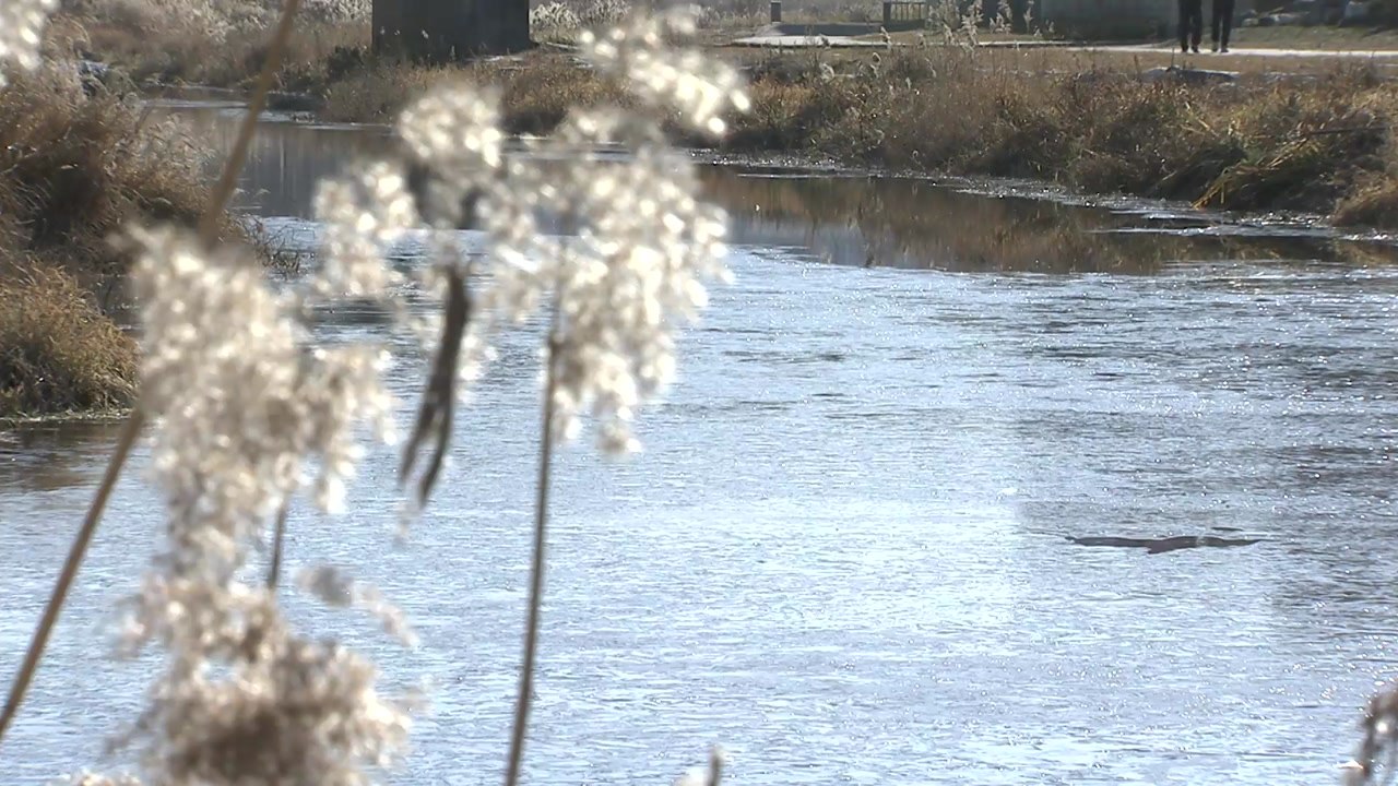 [날씨] 철원 영하 11.5℃...강원도는 이미 한겨울 / YTN