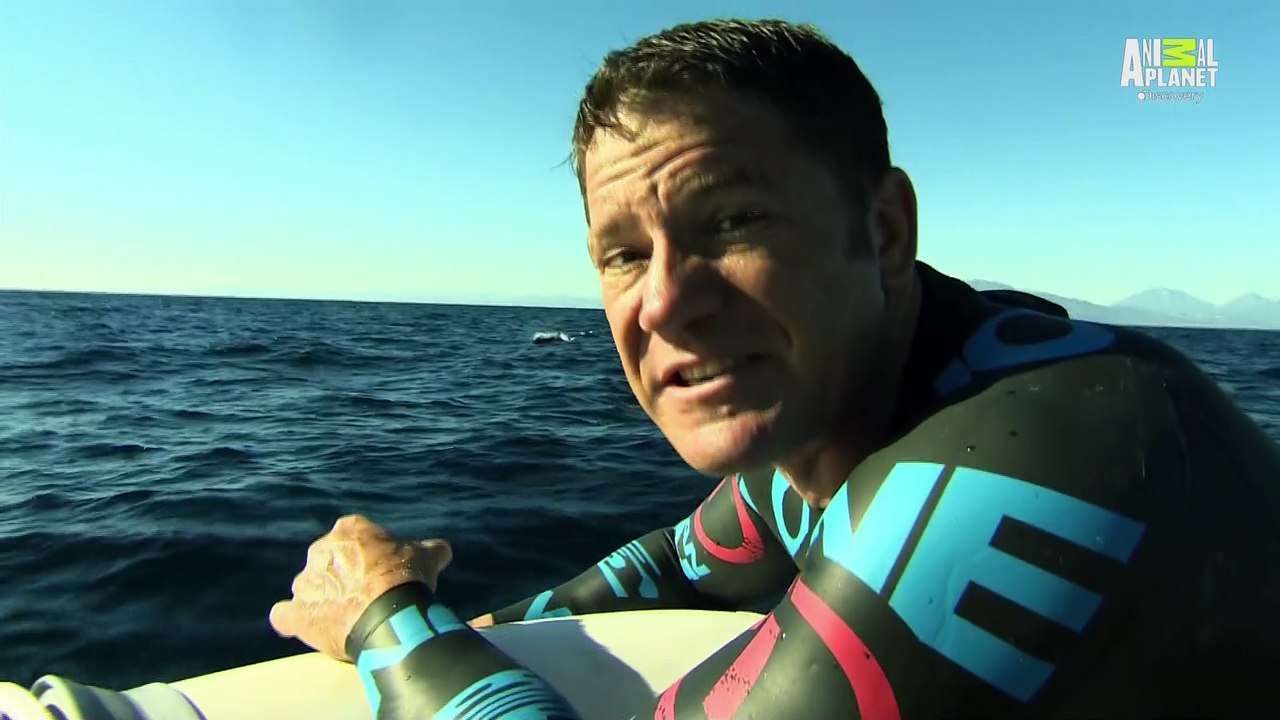 Encontros com Monstros Ep. 4 - Lula Colossal 1080p HDTV-Master