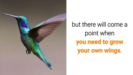 Principles Behind Timeless Web Design