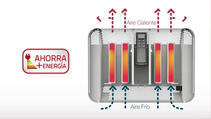 Locutor - Video Corporativo