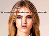 Cómo dibujar un rostro a lápiz / Técnicas para lograr parecido / Proporciones del rostro