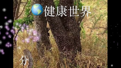 這張圖上有凶猛的老虎 據說 99.9% 的人找不到 您找到了嗎？