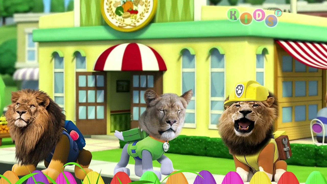 Paw Patrol lion Animal Finger Family Nursery Rhymes ◕‿◕ KidsF