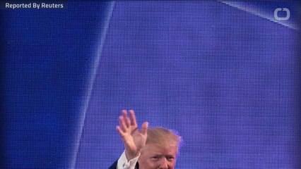 Trump Pauses On Elephant Trophy Imports Rule