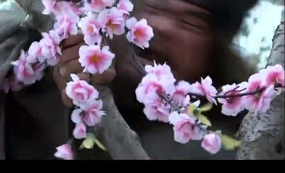 三国25