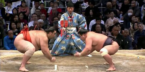 大相撲九州場所　八日目　▽ゲスト　内川聖一選手（ソフトバンクホークス）