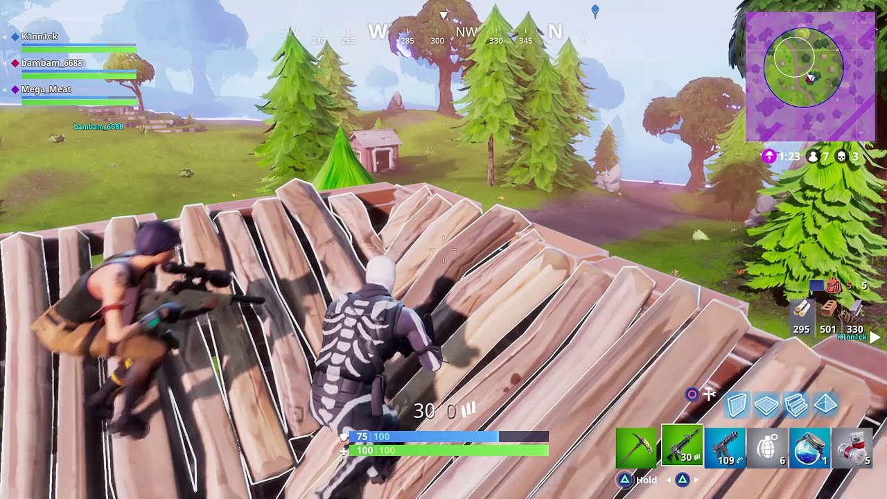Fortnite_20171119021722