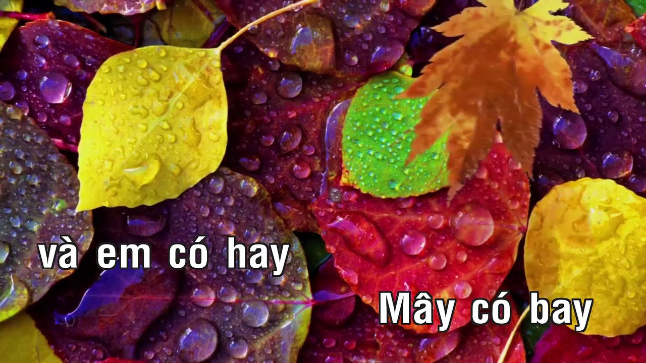 Karaoke - Bản Tình Cuối - Bằng Kiều