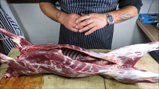 How To Butcher A Deer At Home. TheScottReaProject.