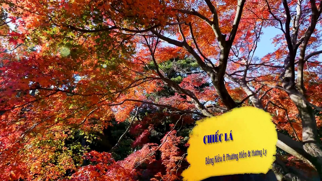Karaoke - Chiếc Lá - Bằng Kiều