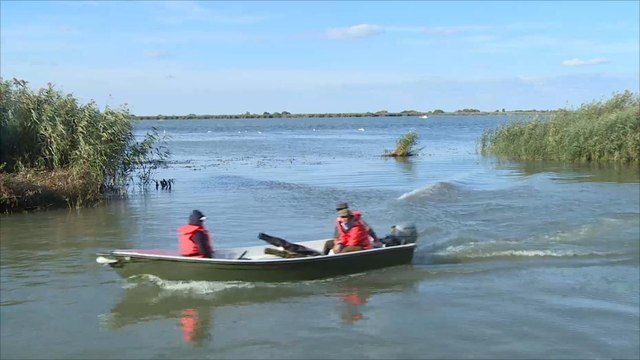 هذا الصباح-دلتا نهر الدانوب.. طبيعة خلابة وملجأ للمتنزهين