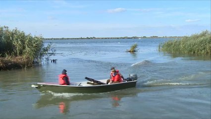 هذا الصباح-دلتا نهر الدانوب.. طبيعة خلابة وملجأ للمتنزهين