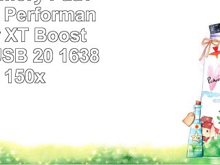 Patriot Memory Patriot Extreme Performance Xporter XT Boost USBStick USB 20 16384 MB