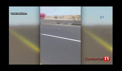 Maymunlar yolun karşısına böyle geçti