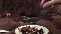 Food Special: Insects | Ashens