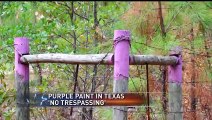 Local Police Are Warning If You Spot Purple Fence Posts To Get Away As Soon As You Can by NativeAmericanNews - Daily