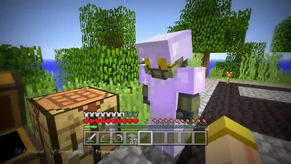 MINECRAFT : LES NAUFRAGÉS ! L'avion ! | SAISON 2 | Episode 13 !