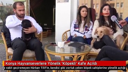Konya Hayvanseverlere Yönelik 'Köpekli' Kafe Açıldı