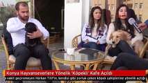 Konya Hayvanseverlere Yönelik 'Köpekli' Kafe Açıldı