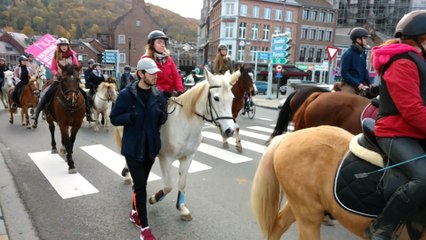 Huy: la traditionnelle bénédiction des animaux