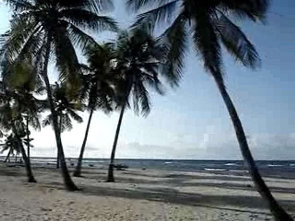 paradis sur terre