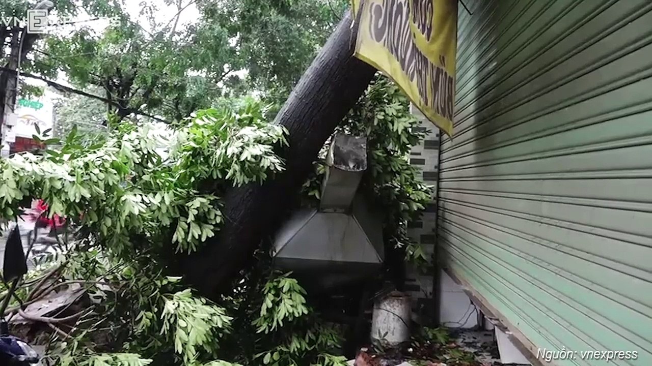 Gần 170 căn nhà ở TP HCM tốc mái sau trận mưa giông