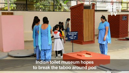Museum seeks to convince Indians that toilets are not dirty