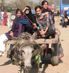funny clips in pakistan punjab funny videos 2017 funny clips in world  funny vines funny  fails