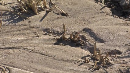 "액상화 확실한 증거"...정부 전면 조사 착수 / YTN