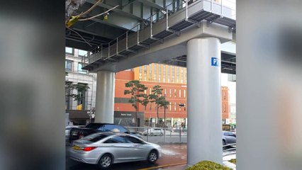 '서울로 고가' 물벼락...추위에 동파·화재 잇달아 / YTN